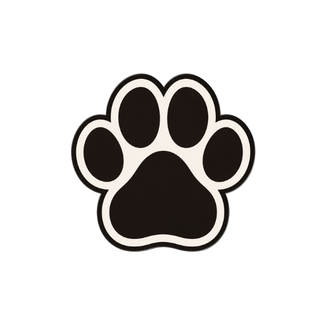 القطط cats 15