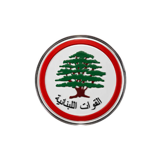 السياسة Politics 19